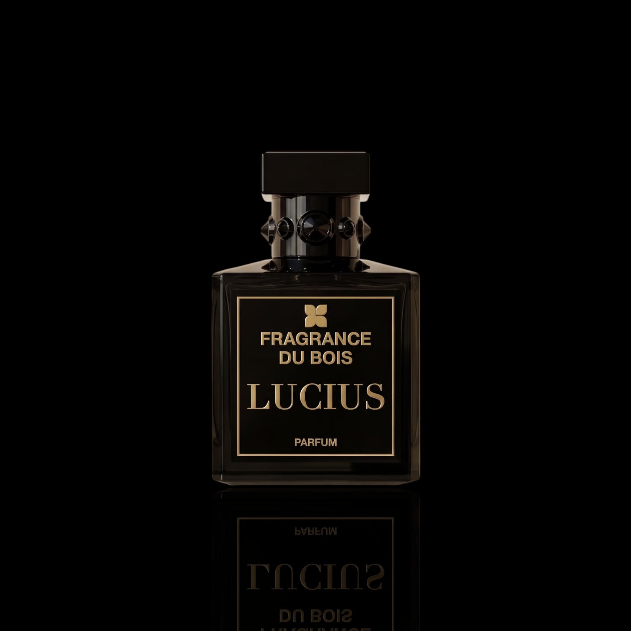 Fragrance Du Bois Lucius Parfum bottle with black and gold design on a black reflective background.